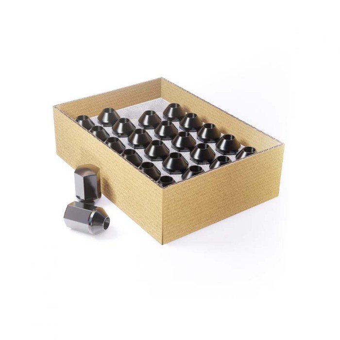 Install Kit - Factory Style Black 14mm x 2.0 (13/16) Ford – 24 Lugs